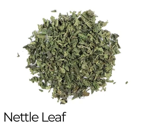 Nettle Leaf